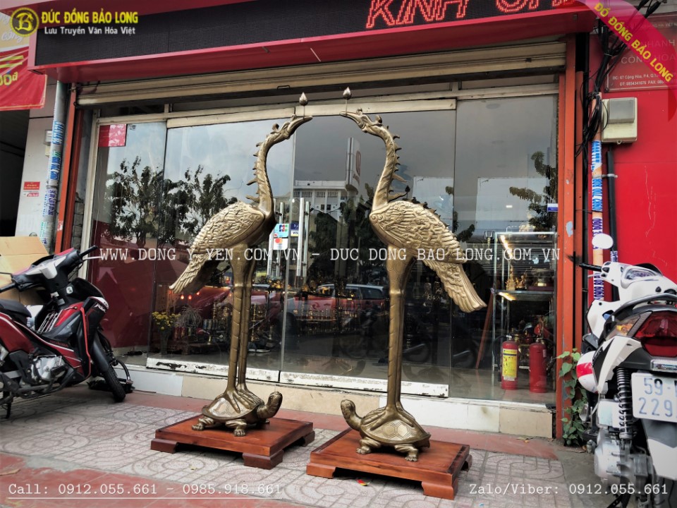 hạc đồng