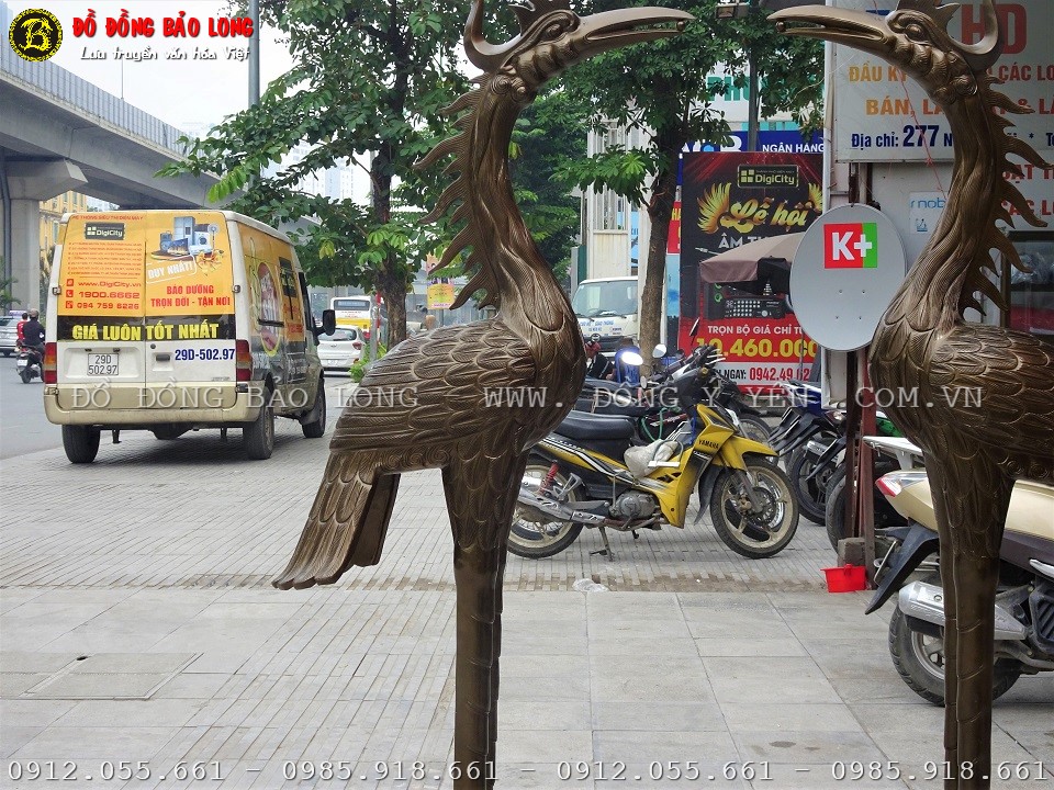 hạc đồng
