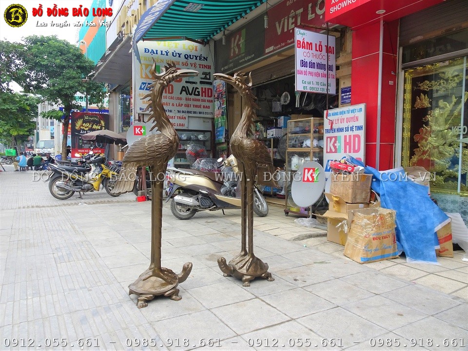 hạc đồng