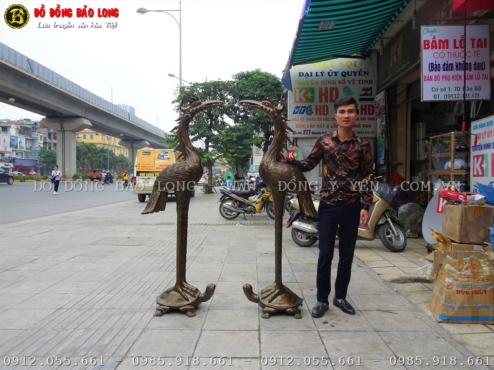 hạc đồng