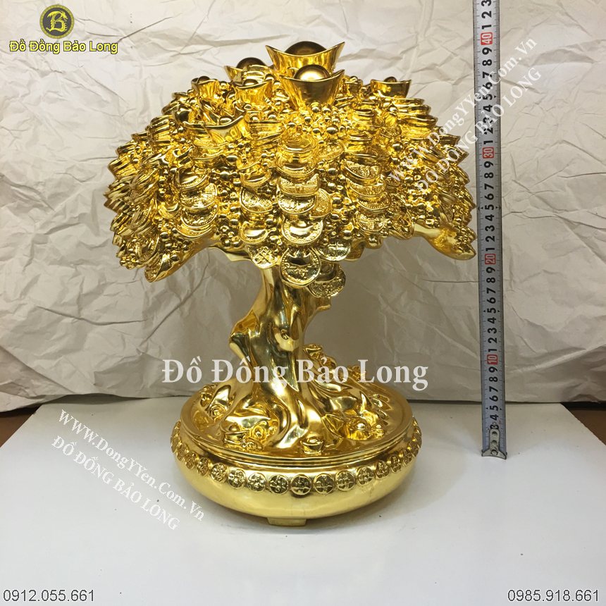 cây tiền dát vàng 9999 cao 40cm