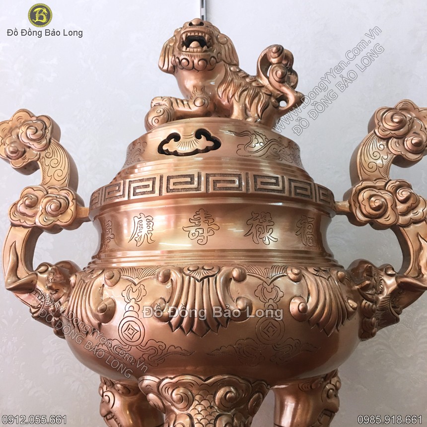 hoa sòi trên đỉnh