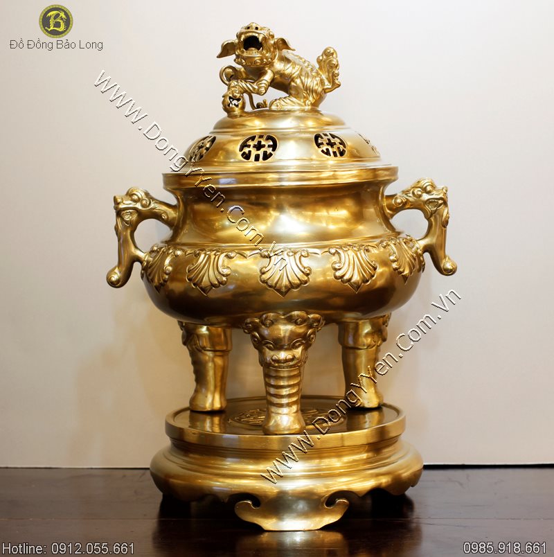 Đỉnh 10 Hoa Sòi Bằng Đồng Tây 50cm
