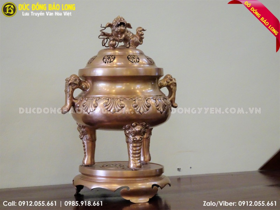 đỉnh 10 sòi