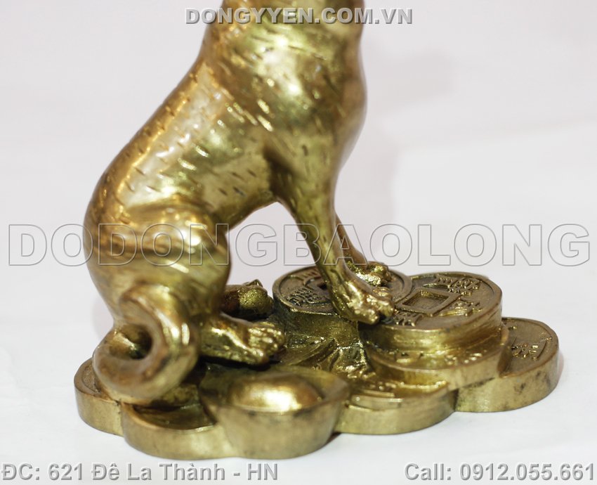 chó đừng trên tiền