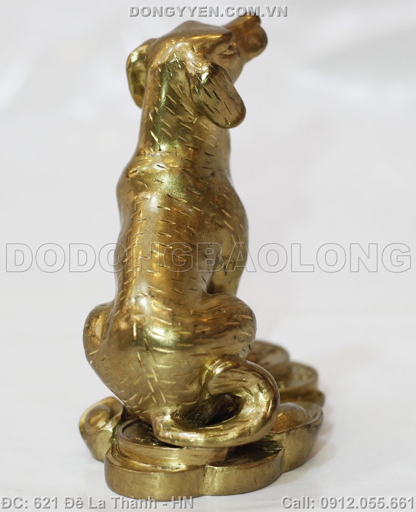 chó đồng làm quà tặng