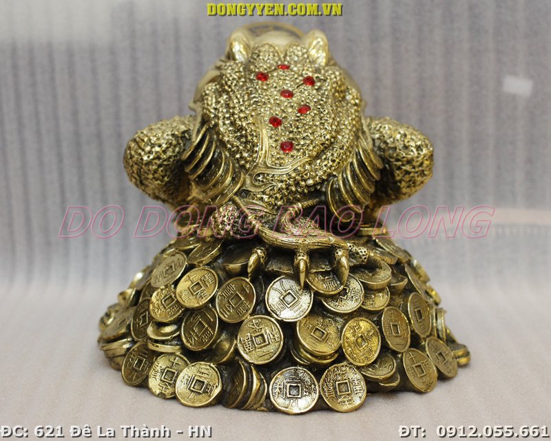 Lưng cóc và 9 huyệt đạo