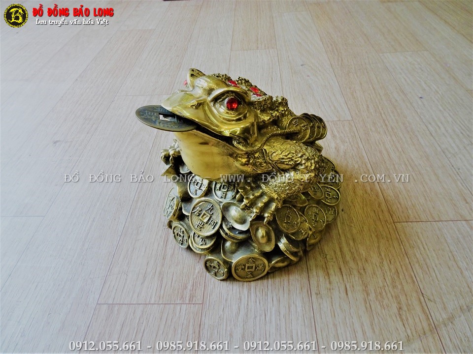 coc-ngam-tien-bang-dong-vang.j