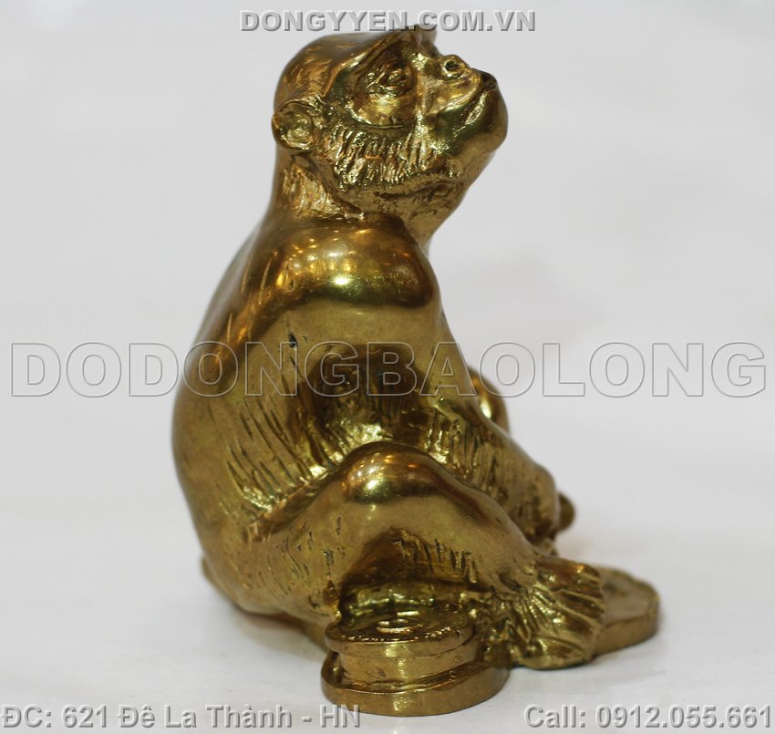 khỉ có kích thước nhỏ gọn
