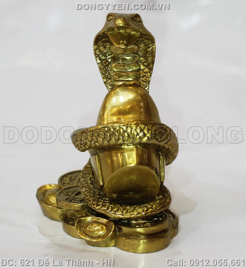 rắn đúc nguyên khối quấn thỏi vàng