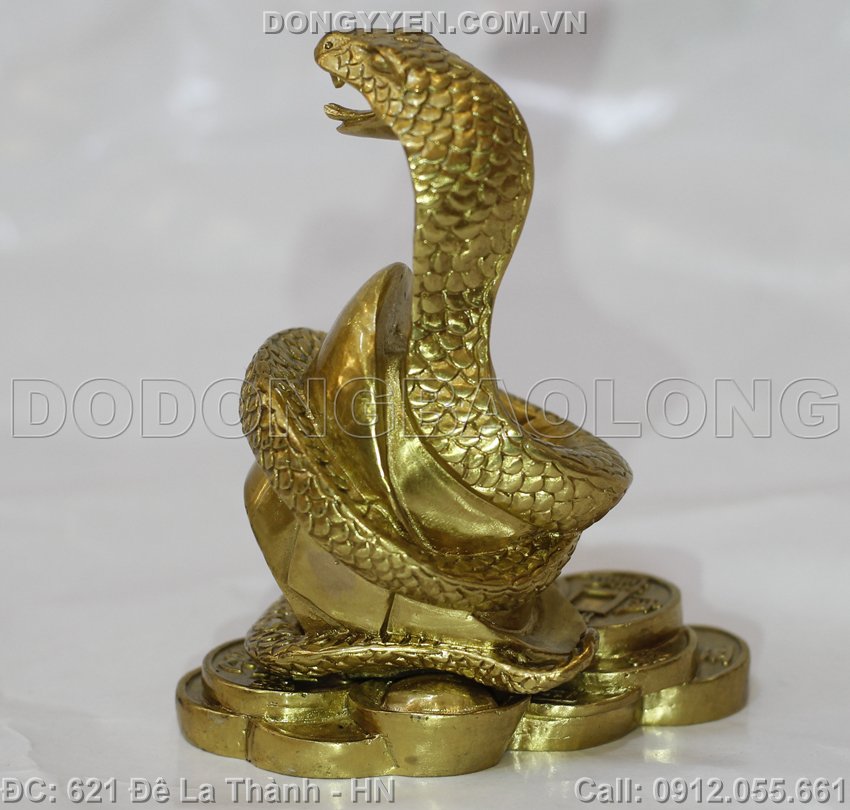 rắn làm quà tặng