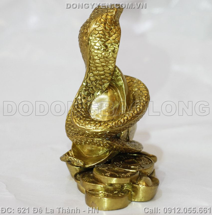 rắn sưu tầm theo tuổi