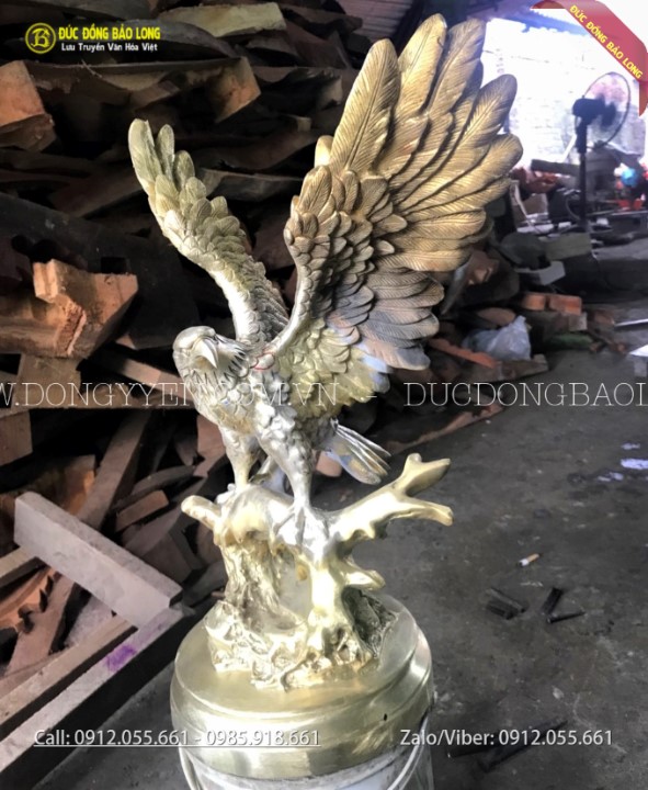 chim đại bàng tung cánh