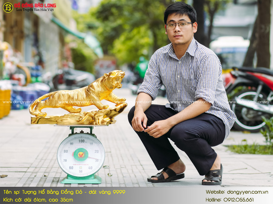 hổ bàng đồng dát vàng 61cm