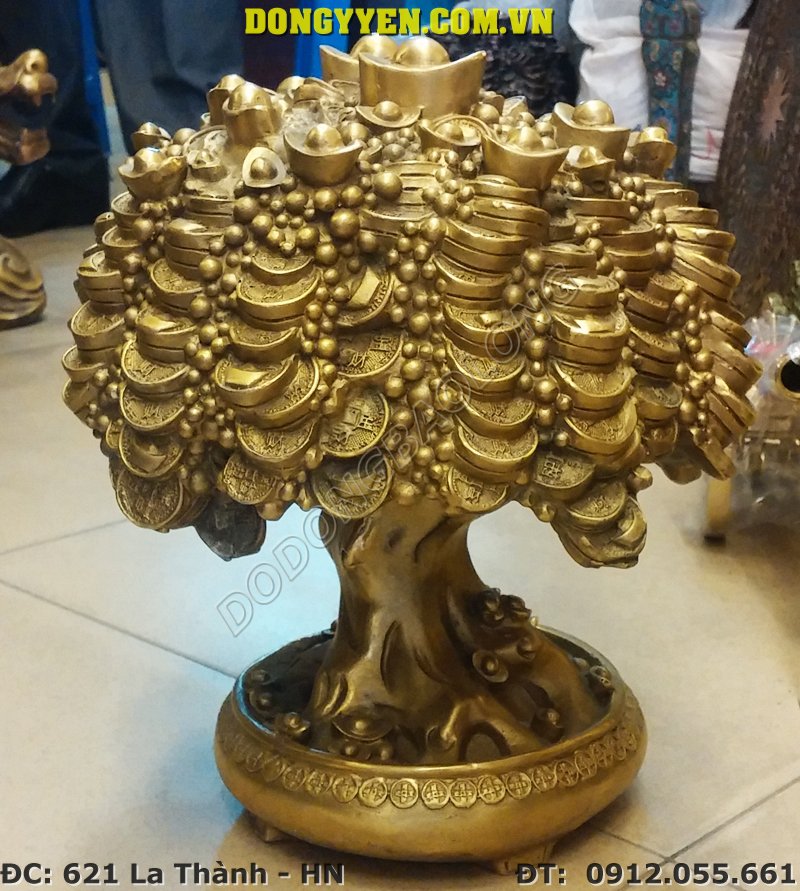 cây tiền vàng